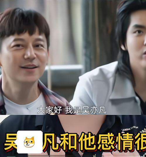 导演解说爆料视频,导演独家爆料视频深度解析  第3张